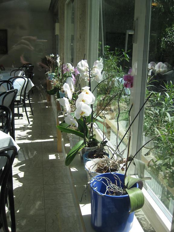 לינץ Dom Hotel מראה חיצוני תמונה